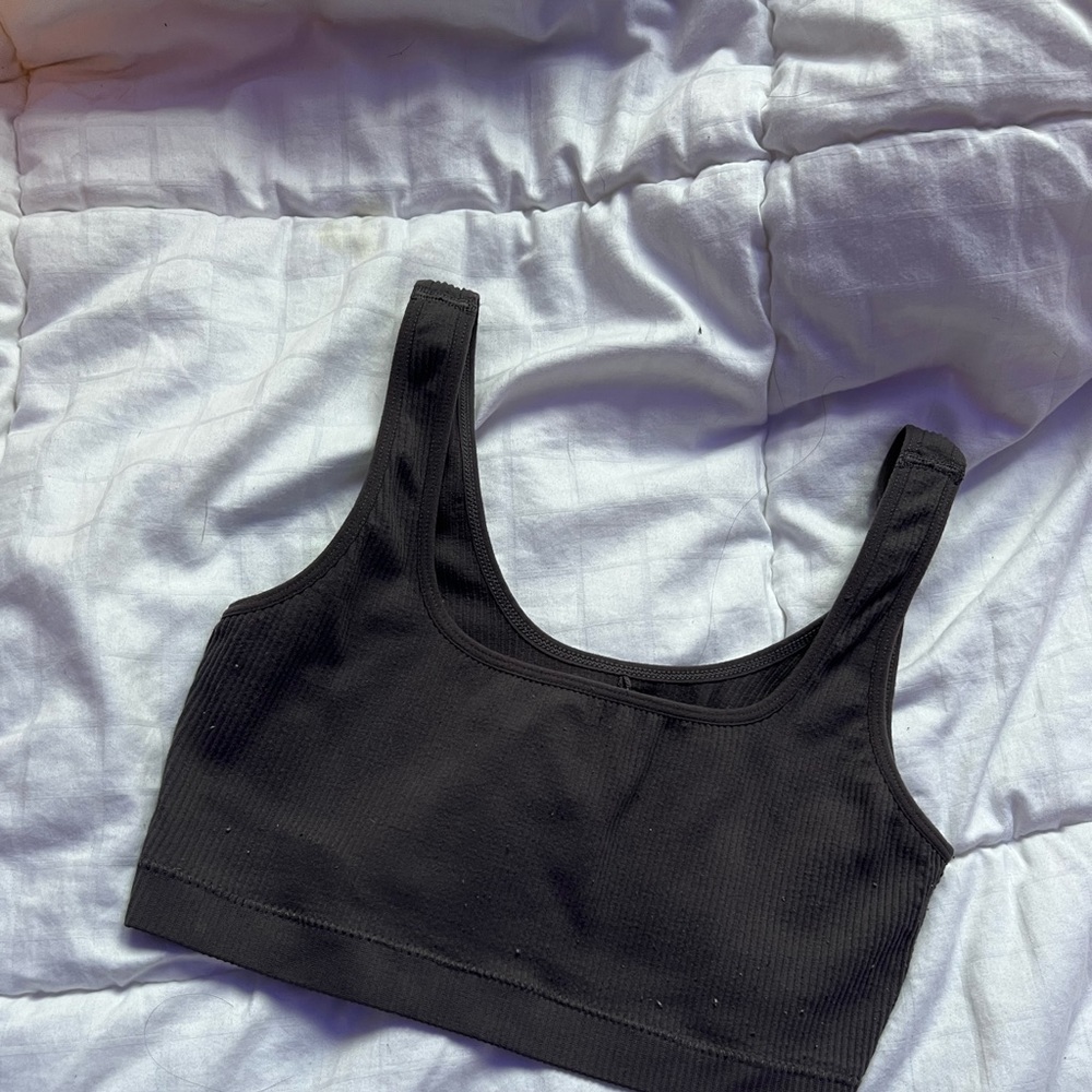Fashion Nova Crop Top